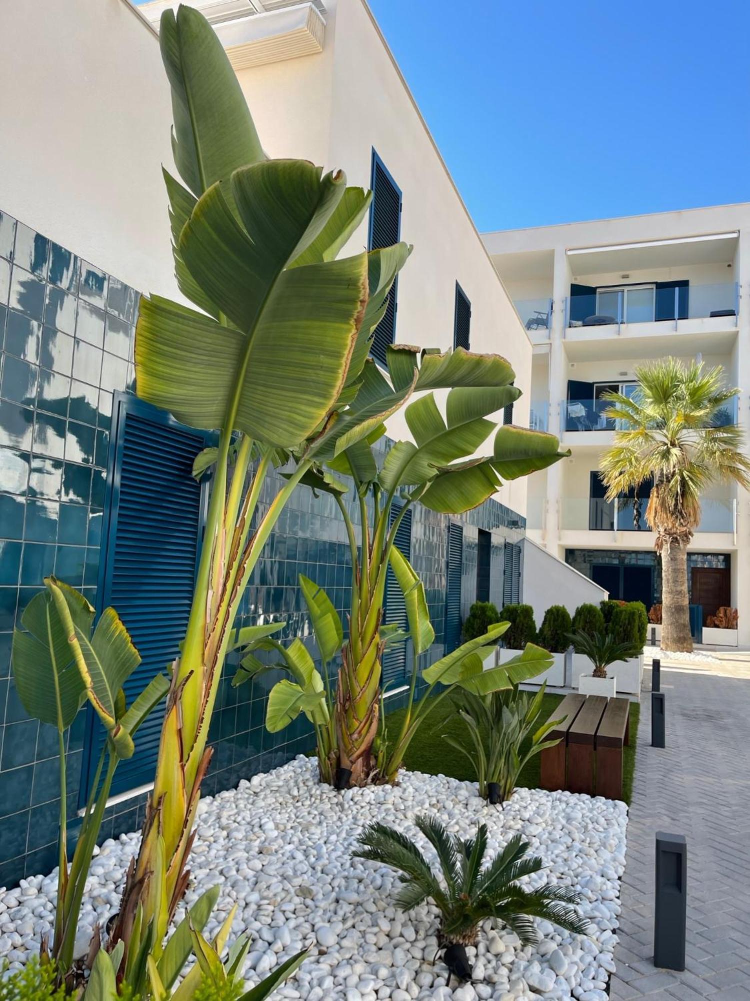 Hola Blanca - Sea, Golf, Chill Apartamento Dehesa de Campoamor  Exterior foto